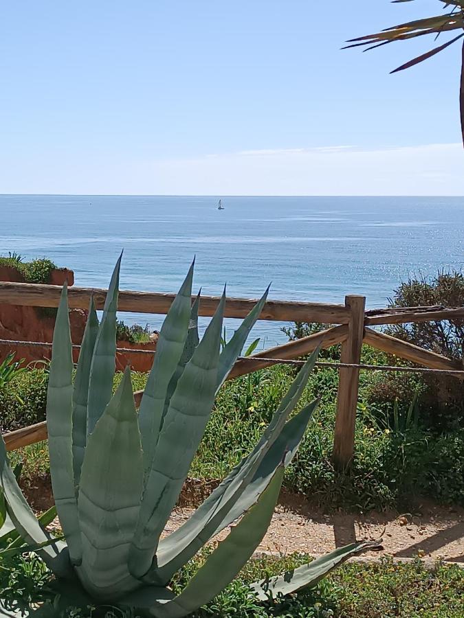 Mar A Vista Algarve Summer Portimão Kültér fotó